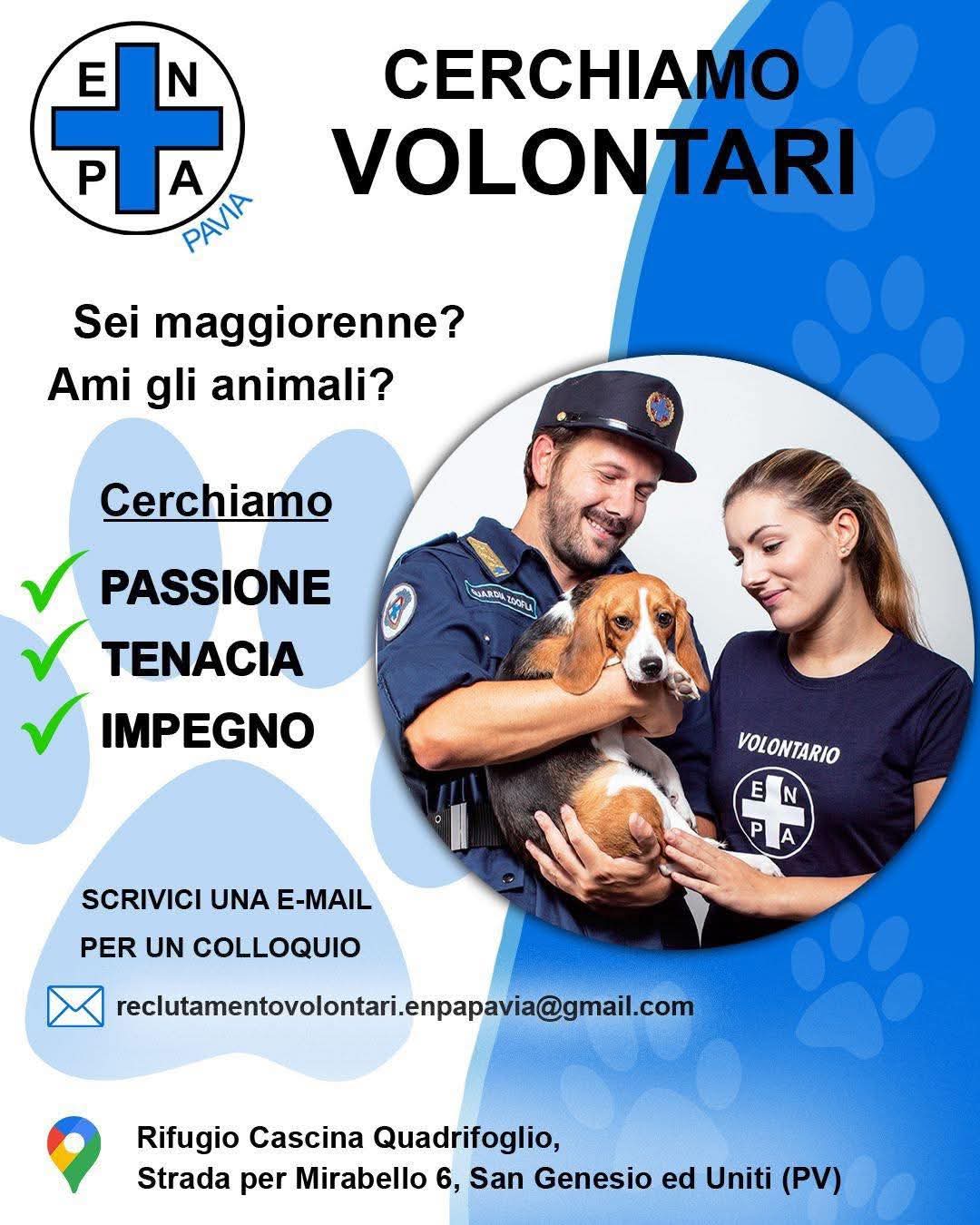 volontario